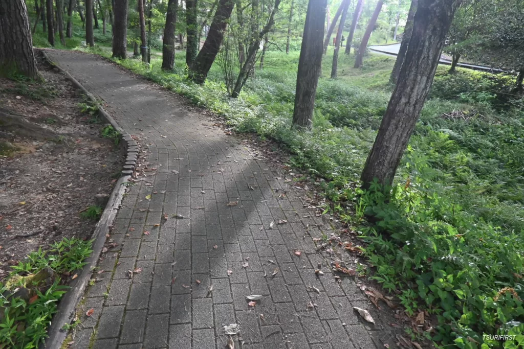 静岡県立森林公園内の冒険の森内で撮影した写真